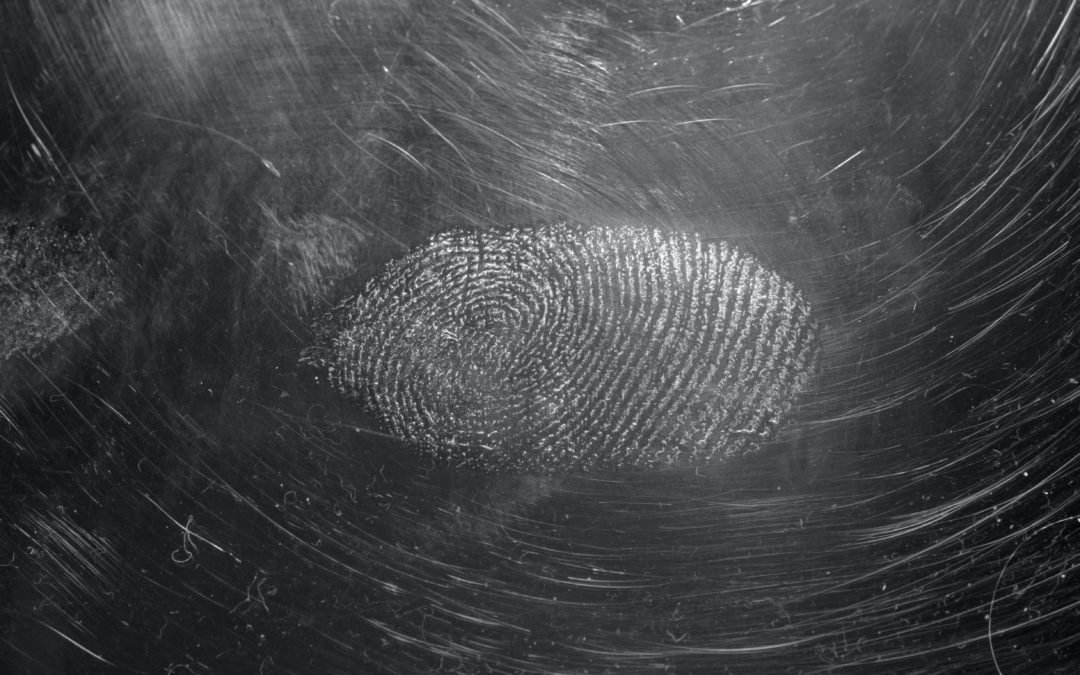 Inside the 11 Disciplines That Make up the Field of Forensic Science