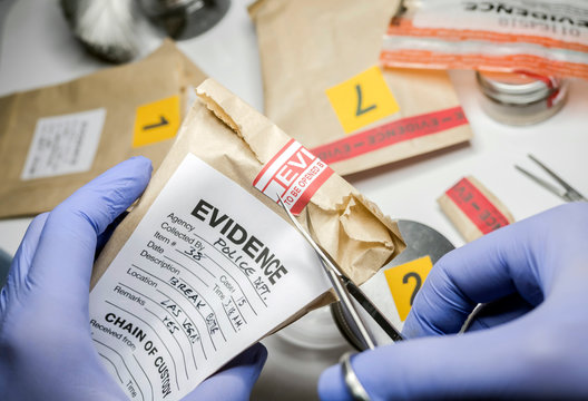 Gathering Physical Evidence for a Crime Investigation