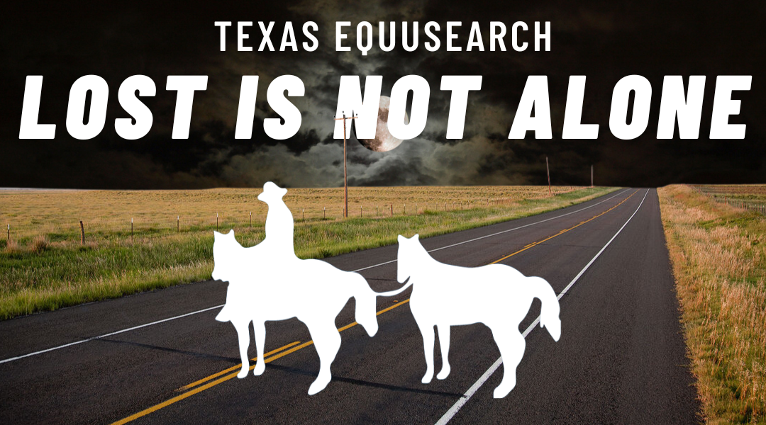 ‘Lost is Not Alone’: Texas EquuSearch